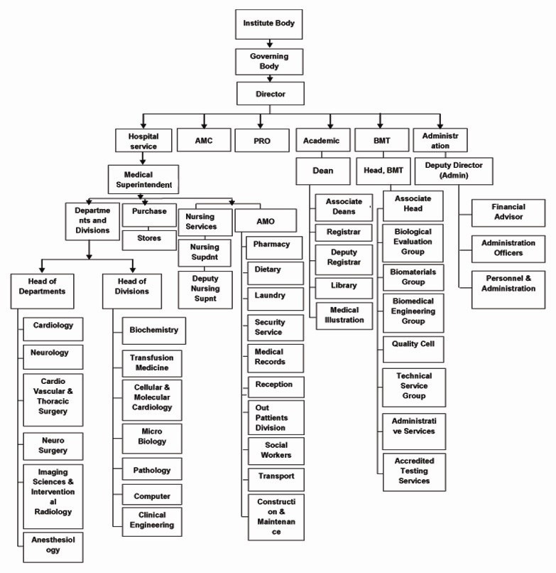 Organisational Structure