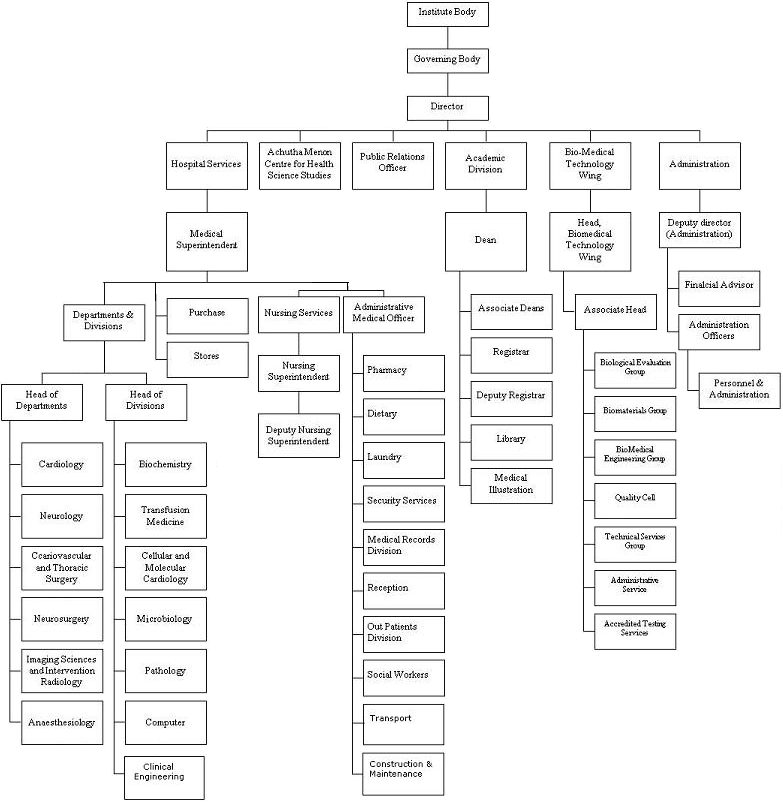 Organisational Structure