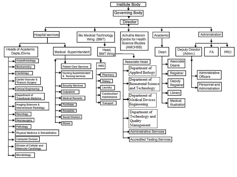 Organizational Chart Of Medical Technology