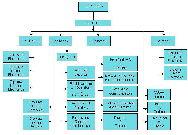 Organisational Structure